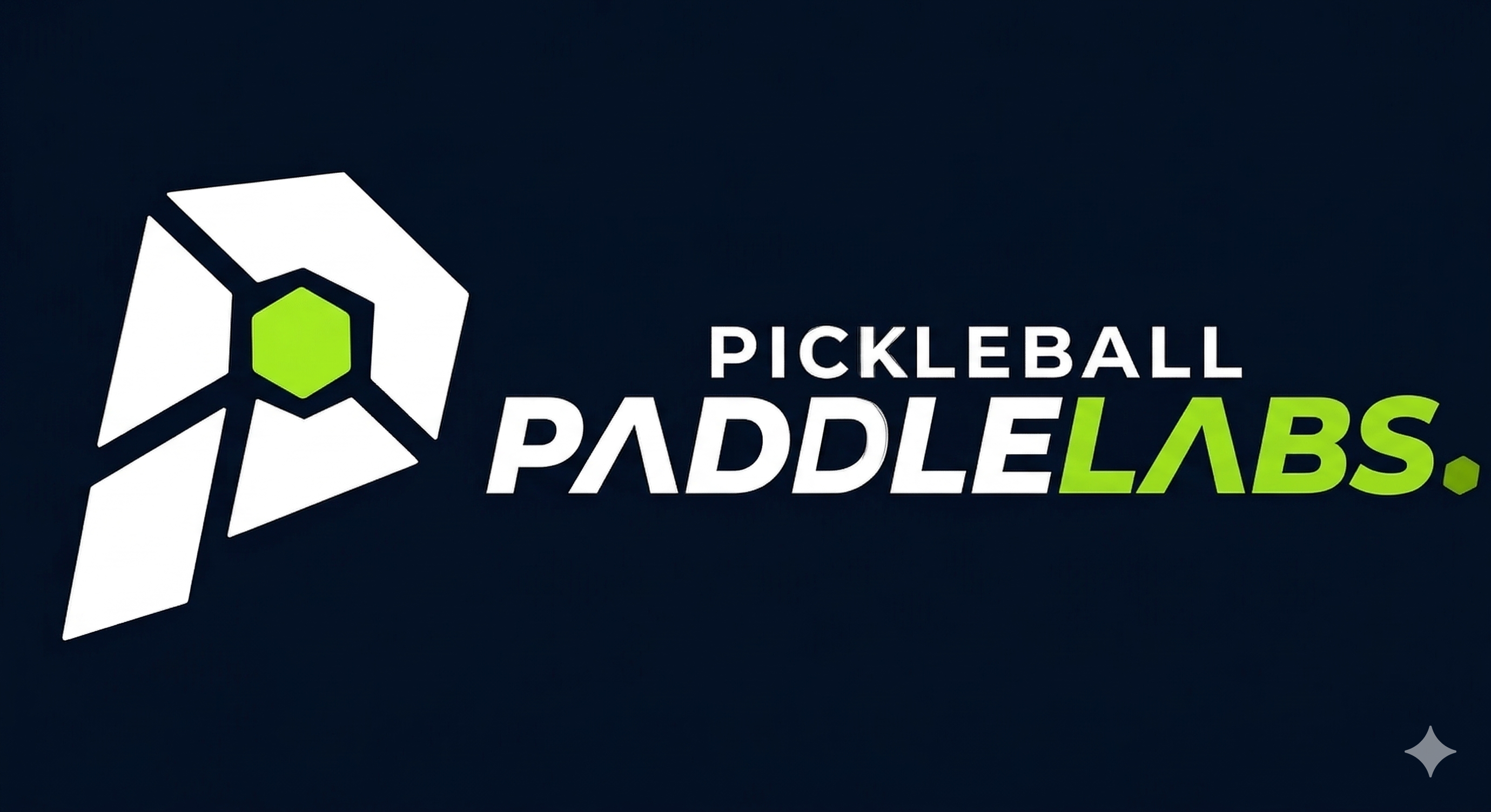 Pickleball Paddle Labs